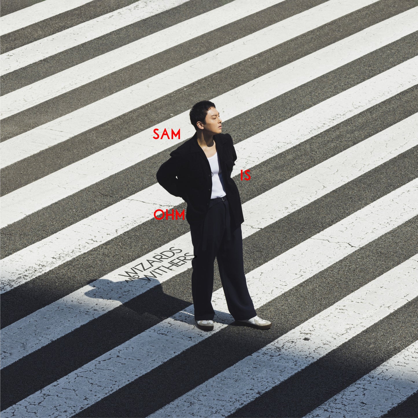 【CD】Sam is Ohm / Wizards and Withers