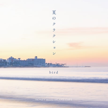 【7インチヴァイナル】夏のクラクション / bird